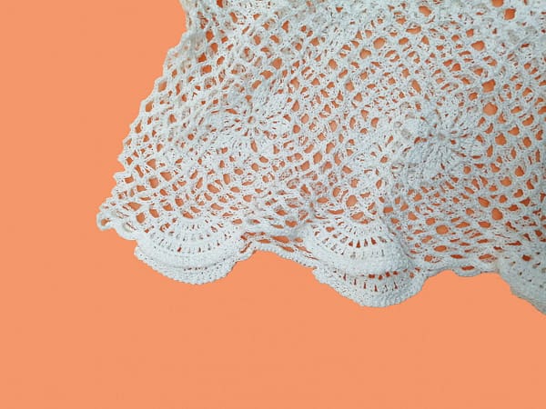 Gardenia - immagine 4